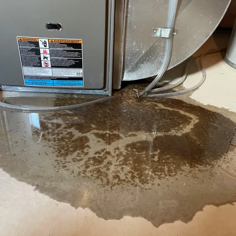 Appliance Leak Cleanup in Milton, WV