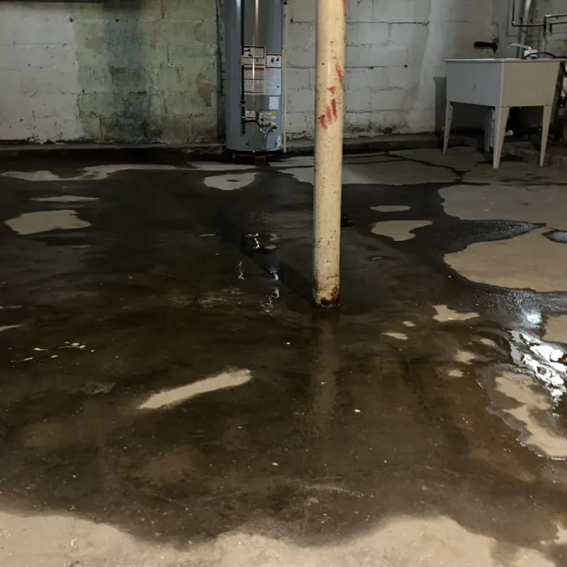 Emergency Water Extraction And Removal in Milton, WV